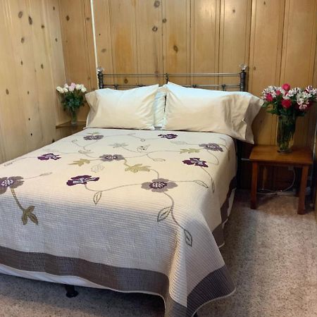 The Woods Hotel - Gay Lgbtq Cabins 盖尔南韦尔 外观 照片